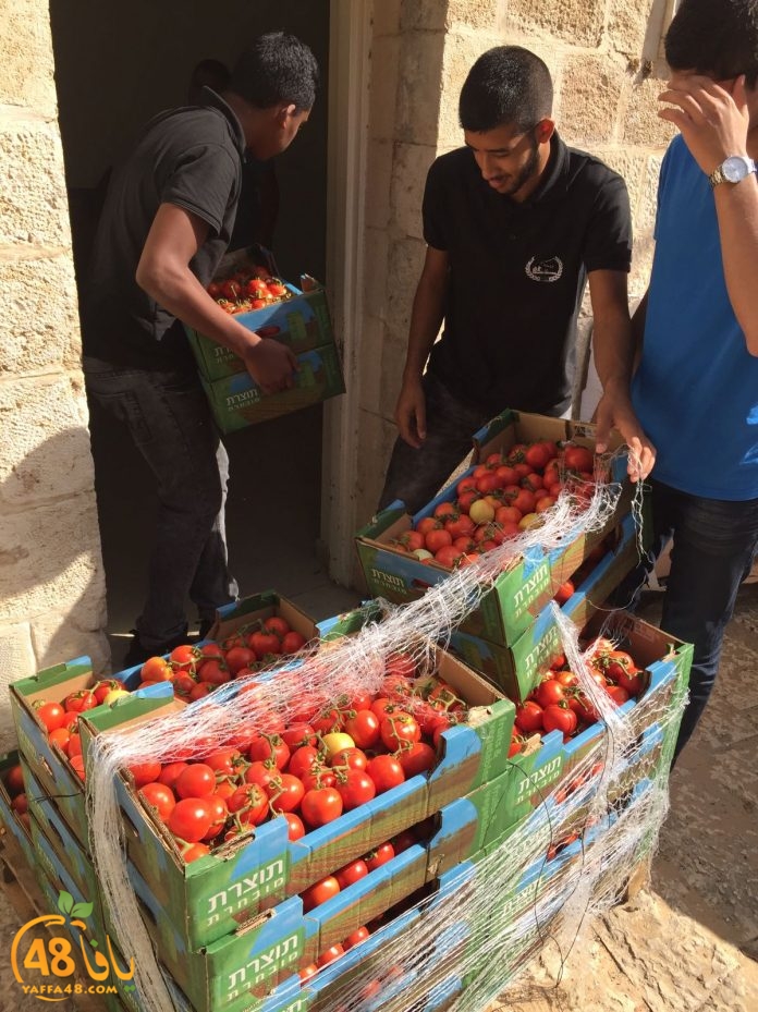 lud lajna zakahshd (7).jpg